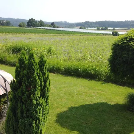 Apartment In Mit Terrasse Und Grill *